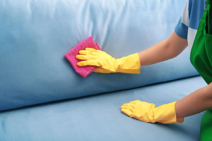 Deep fabric sofa cleaning for fresh homes