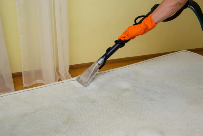 Deep mattress steam cleaning service